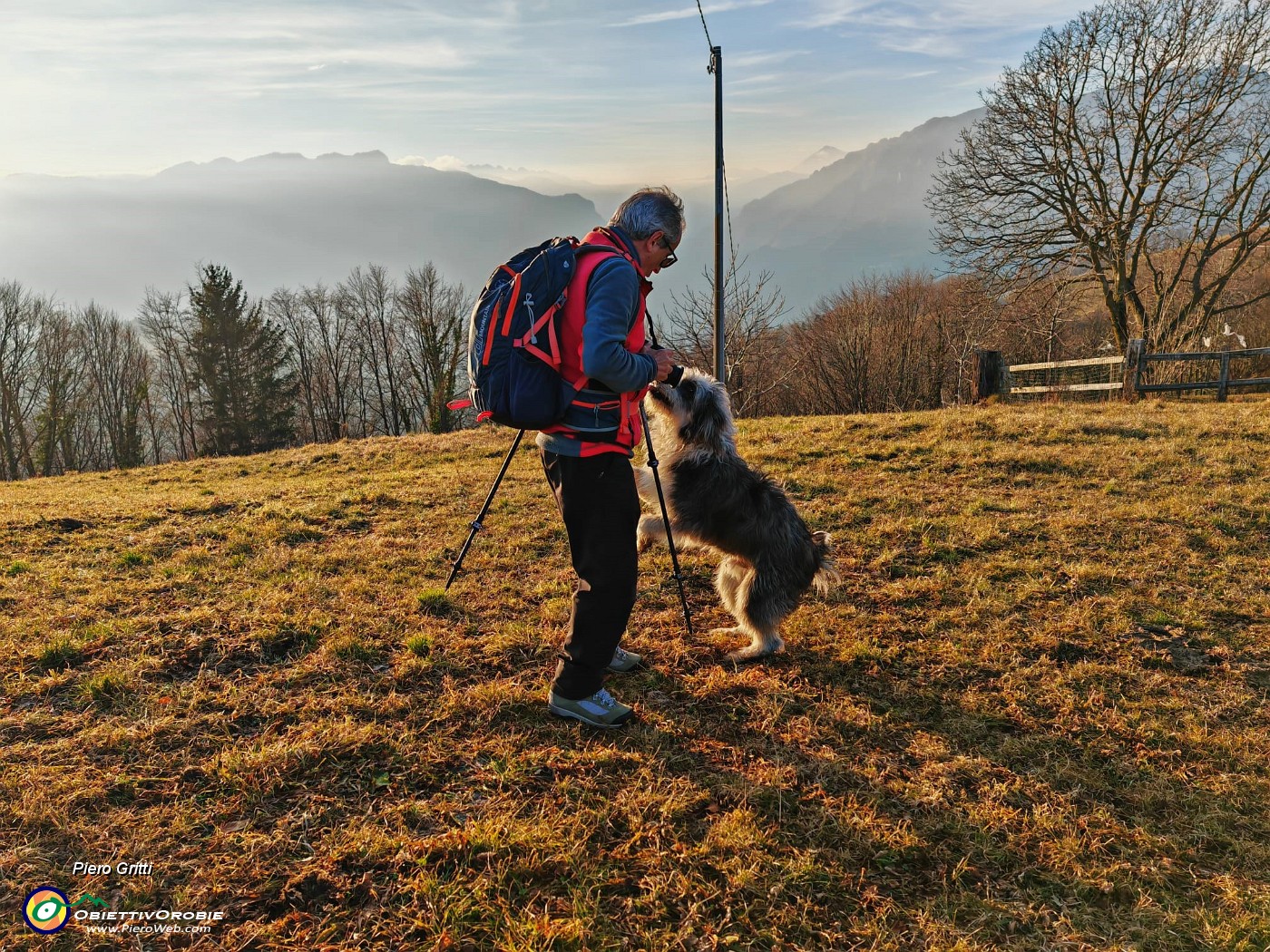63 Accolto festosamente da cane pastore.jpg